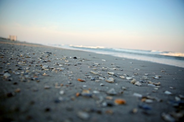 Greer Summer 2016 69