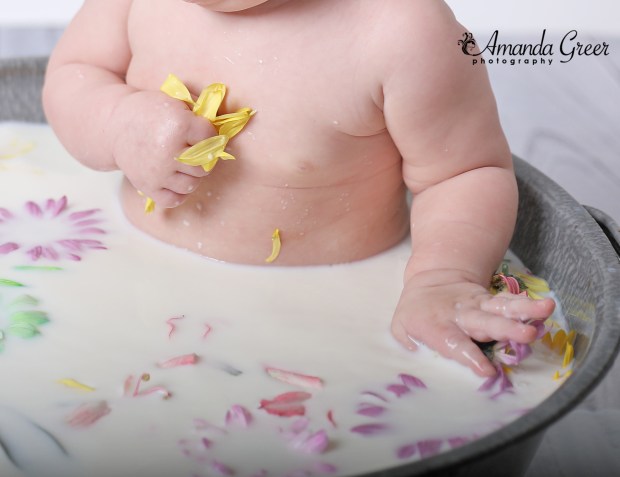 grapher-ripley-wv-milkbath-6-month-session-5